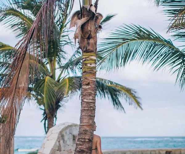 Glamp Ikal Luxury tent Tulum